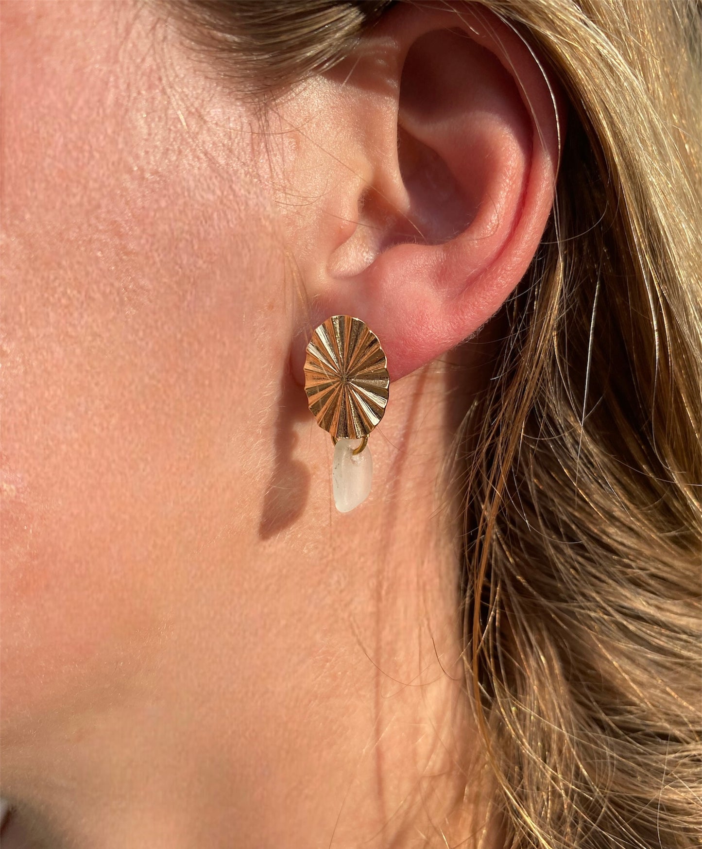 Rosa canina guld - hvid