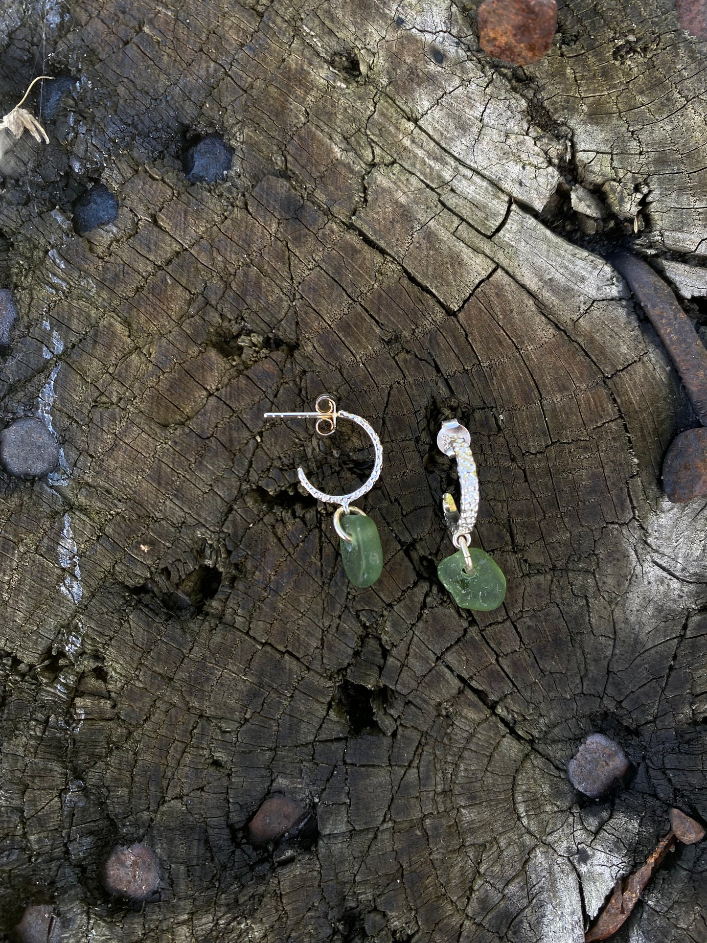 Plantago ørering sølv - mørkegrøn