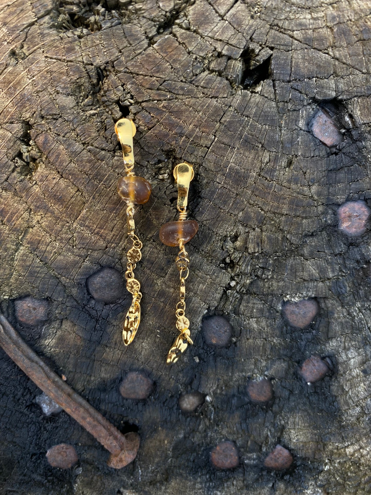Pratensis ørering guld - brun