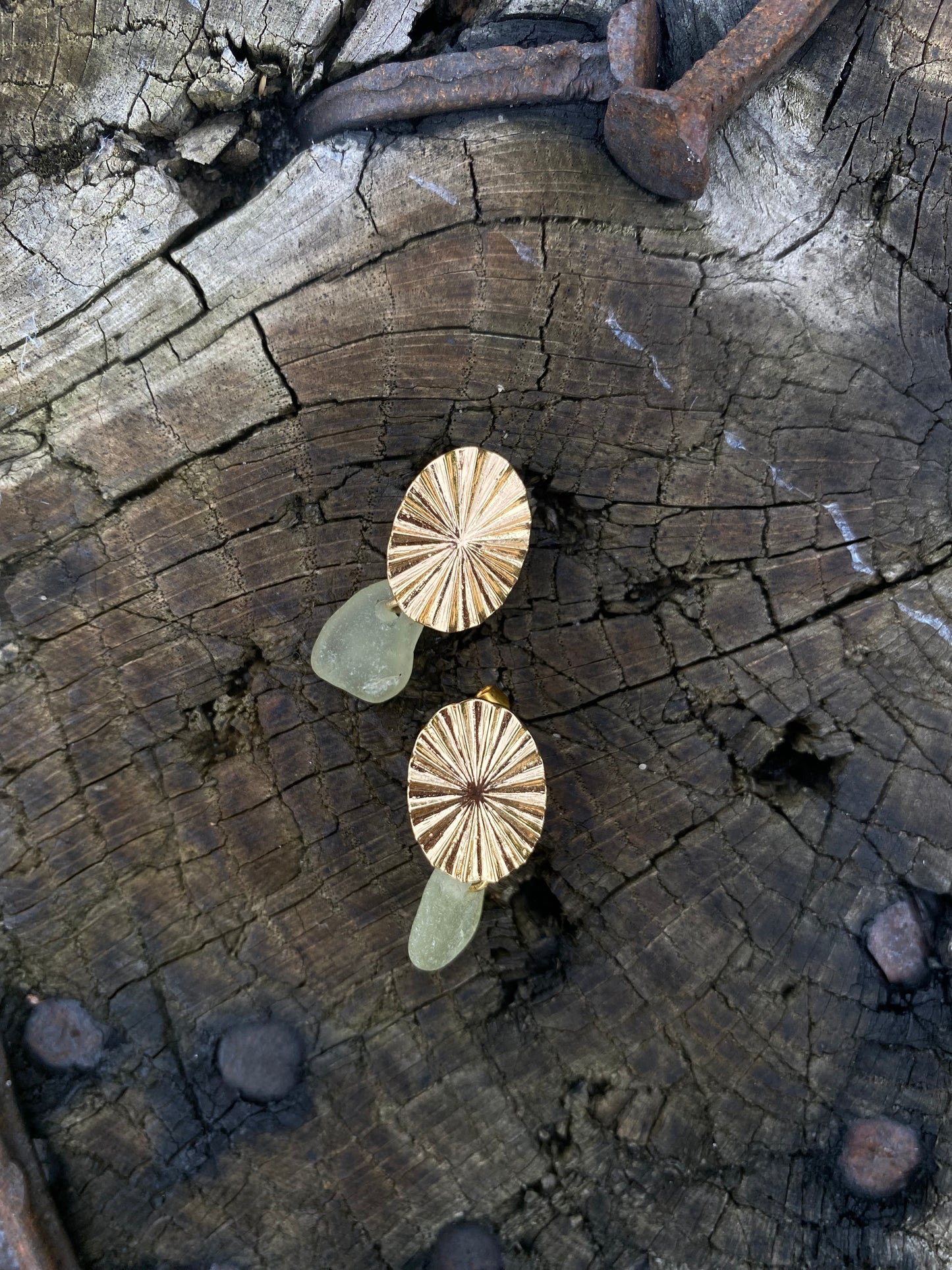 Rosa canina guld - lys grøn
