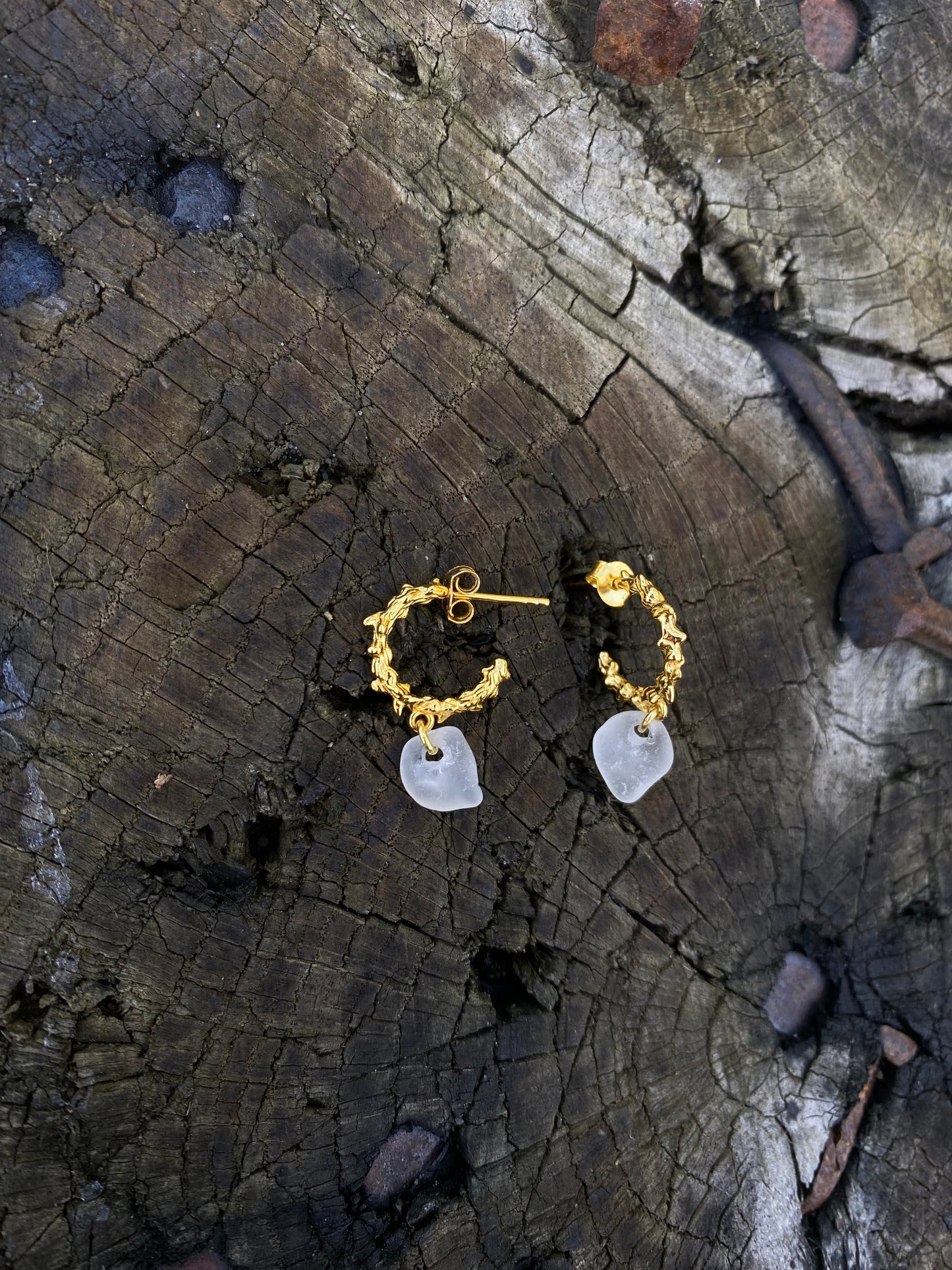 Acorus ørering guld - hvid