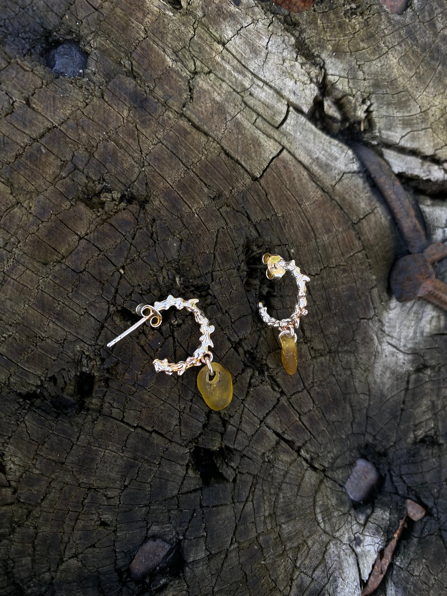 Acorus ørering sølv - lysebrun